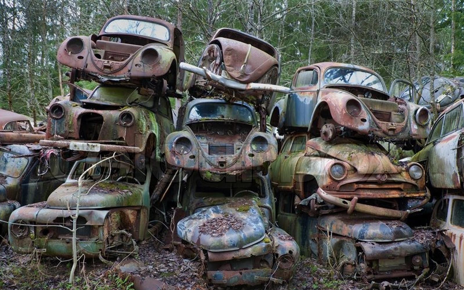 Hari Motors